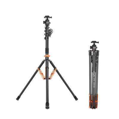 Digitek (DTR 830BH) 8.26ft Light Stand cum Tripod